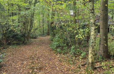Idyllisch & ruhig - gemütliches Ferienhaus im Wald Hunde willkommen, in Hatten, nahe Oldenburg - Foto 55