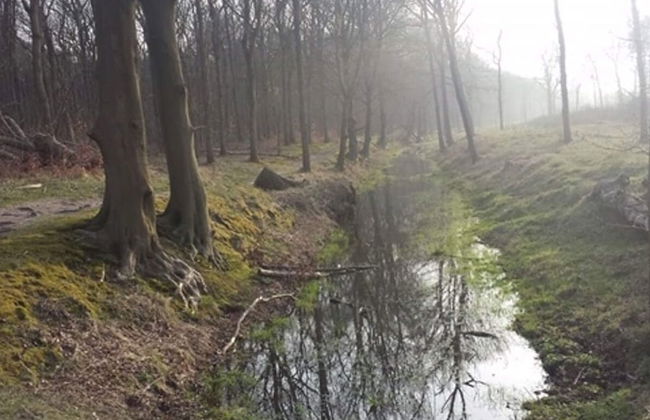 Relax in Your Holiday Home With Sauna, Near the Beach of Noordwijk - Foto 32