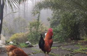 Etna Rural Cottage with Jacuzzi - Foto 30