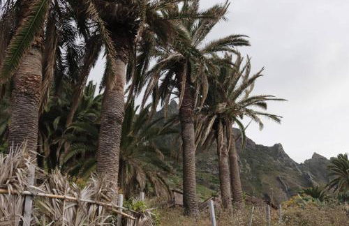 Casa Oásis Atlántico, Rincón Secreto al Pie de los Senderos - Foto 44