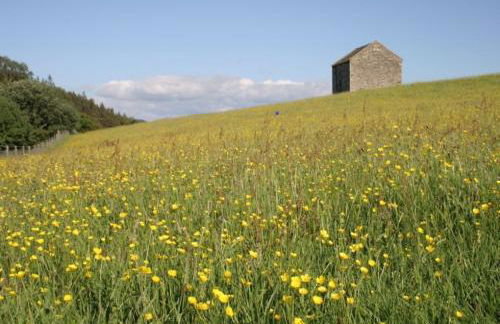 Carrs Cottage, Westgate in WEARDALE - Photo 34