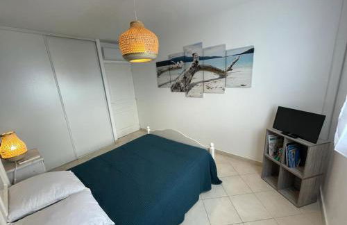 T2 clim 54m2, 17m2 de terrasse très belle vue mer - Foto 11