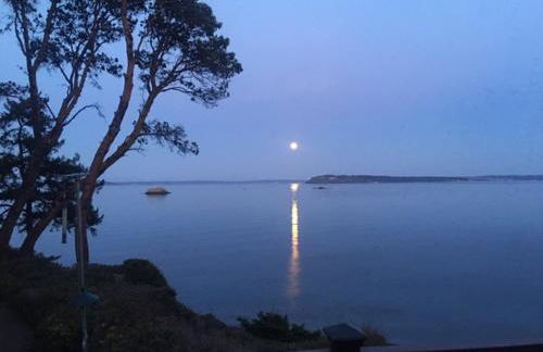 Puget Sound Chic Romantic Cottage with Private Beach Access & Gated Entry - Foto 30