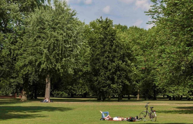 Tranquil Goirle Countryside Home - Photo 31