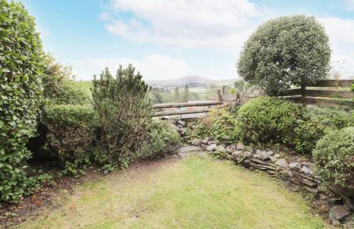 Plas Arenig - Foto 24