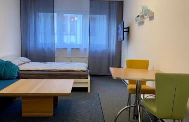 Ganze Apartment in Saarbrücken City - Foto 9