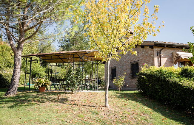 Fattoria Sant'Andrea - Photo 49