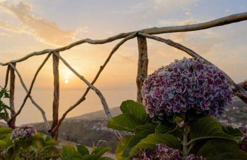 Recanto das Florenças (2) - Photo 44