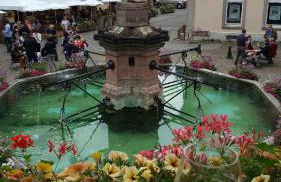 Fleur de Vigne - Foto 54