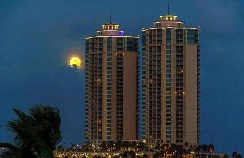 Palisade Palms Oceanfront Condo & 5-Star Amenities - Foto 80