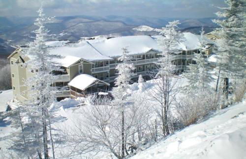 301 D Summit Dr. , Snowshoe Mountains, WV 26209 - Foto 1