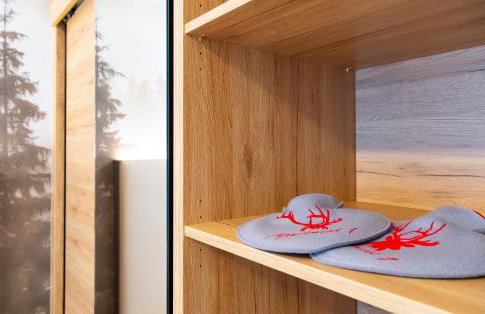 Apartment 1 - Schmiedefeld - klein und fein - Foto 10