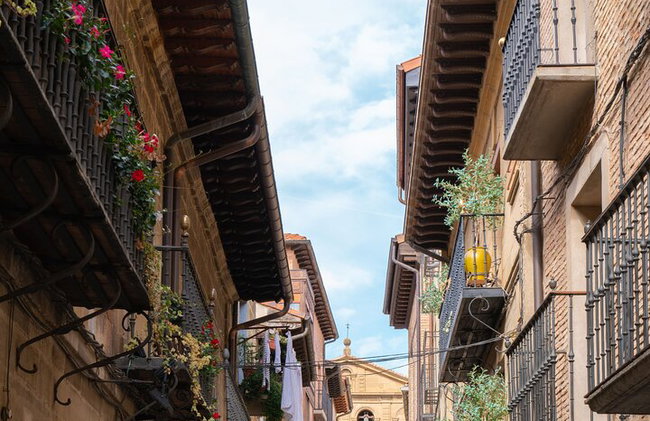 Excursion d'une journée à Vitoria, La Rioja et visite d'un domaine viticole à Laguardia au départ de Bilbao - Photo 6