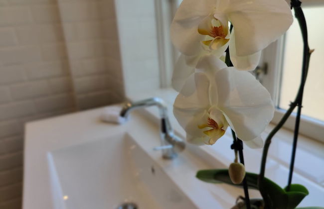 The Old Mill - By the Lake - Foto 37