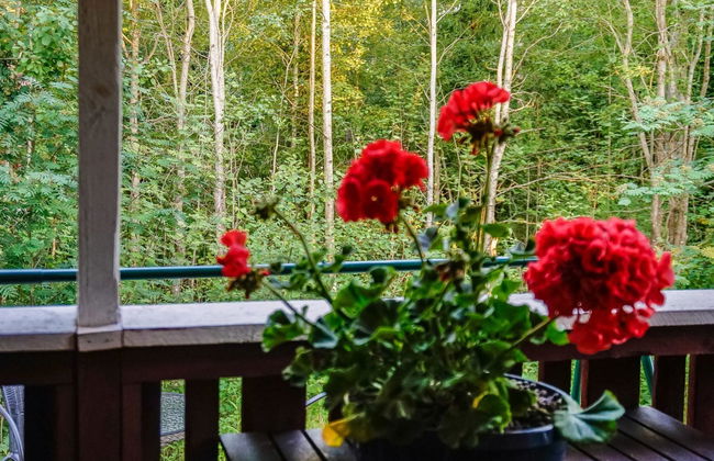 Merimetso 6 - Foto 7