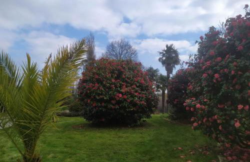 Le Manoir de KEROFIL - Foto 23