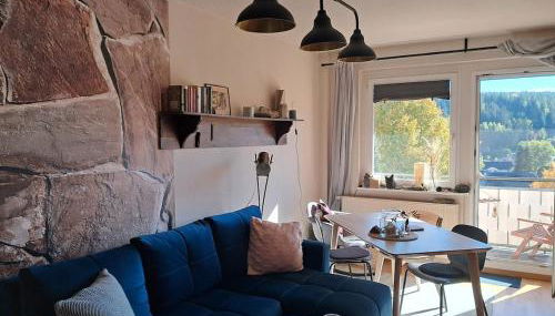 Gemütliche Ferienwohnung mit Sauna und Balkon im Zentrum von Bad Elster - Photo 3