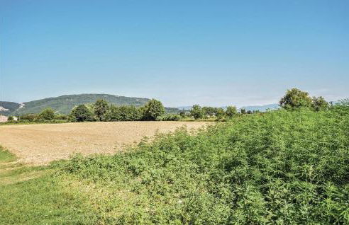 La Casa Delle Api - Photo 52