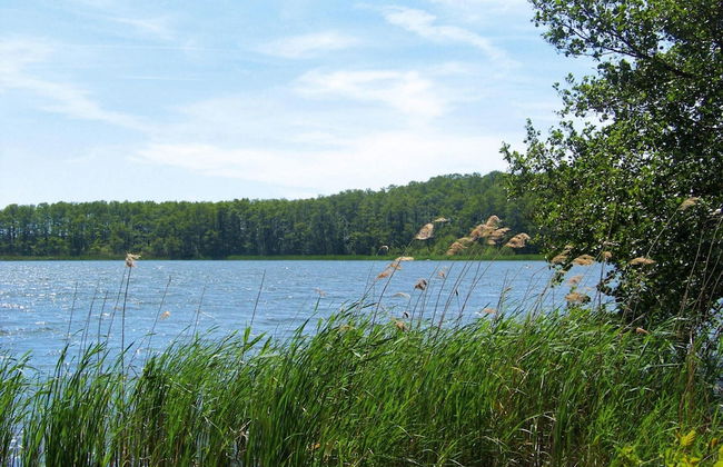 Reihenhaus Seeblick, Sommersdorf - Foto 21