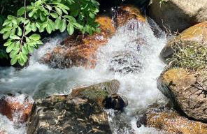 Chacara Sossego da Natureza - Foto 30