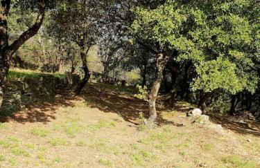 Magnifique villa au cœur des Cévennes - Foto 30