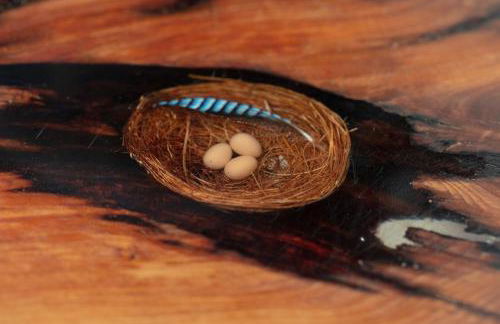 Nest Stay By The Butler Collection - Foto 17