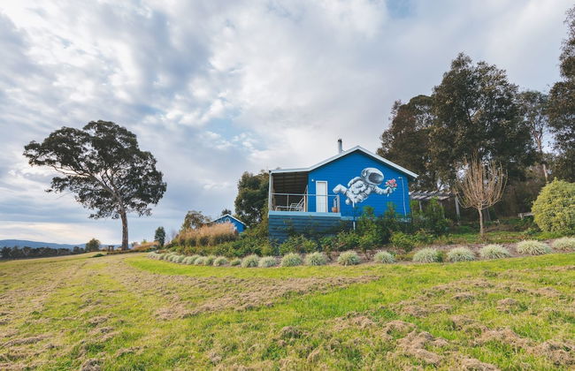 Outlook Hill Vineyard Cottages - Foto 38