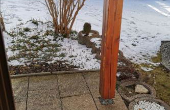 Apartment in Ludwigsreut mit Terrasse- Garten und Grill by Interhome - Foto 39