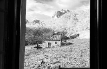 La Molnera - Foto 18