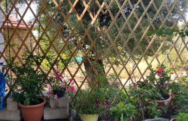 Ολόκληρο σπίτι - Foto 27