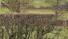 Lakes and Eden Valley. Thornhill Cabin - Foto 2