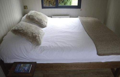 Lavender Lodge - Photo 23