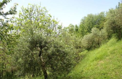 Tradizione Toscana ristrutturata nel 2021 - Foto 26