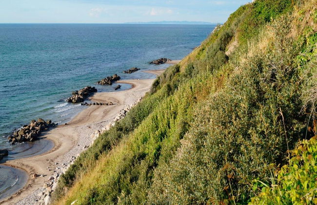 16 Person Holiday Home in Vejby - Foto 21