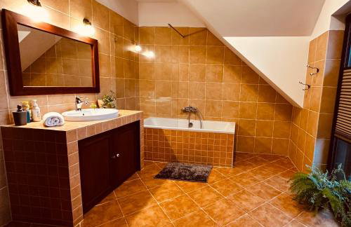 Dom Puchacza w Lądku-Zdroju - Foto 14