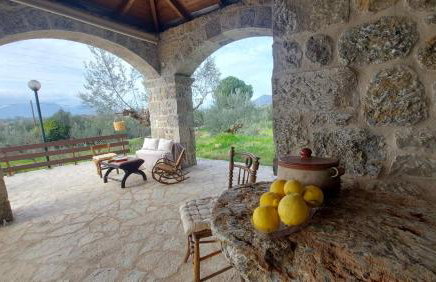 homonatura petrinum - Foto 21