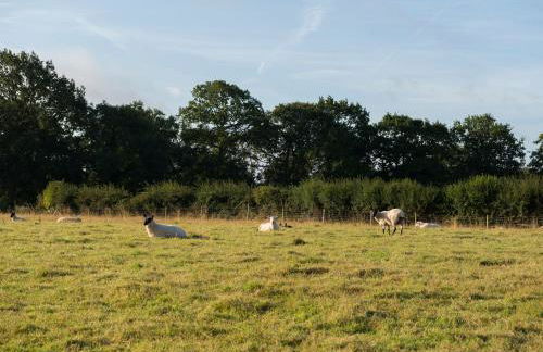 Barnfields Holiday Cottage - Foto 28