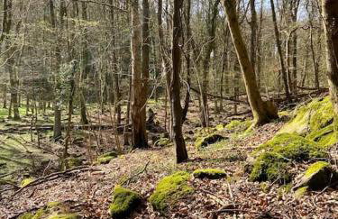 The Chaff House Country Cottage - Foto 34