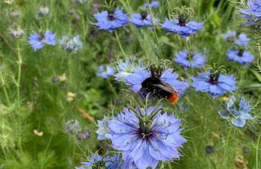 The Piggery, a perfect country hideaway - Photo 31