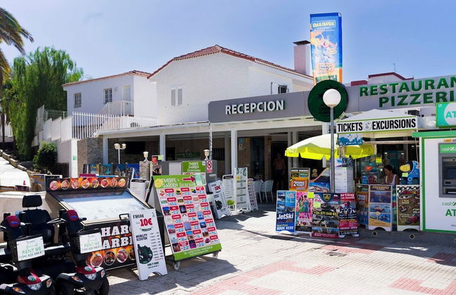 Apartamentos Tinerfe Garden - Foto 2