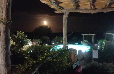 Cuccuru Relax - B IUN Q9882 - Foto 72