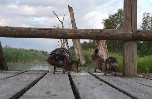 Fewo Im alten Fachwerkhaus - Foto 27