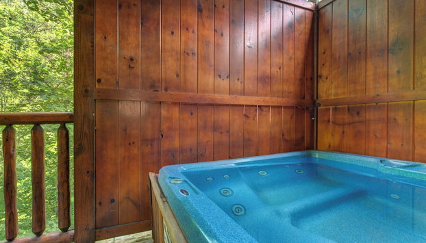 Celebration Lodge by Jackson Mountain Rentals - Foto 5, Servicios del alojamiento