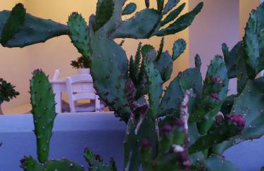 Sea Daffodil Apartments - Foto 1