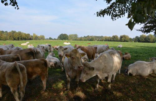 Ferienappartements "Landromantik" - Foto 76