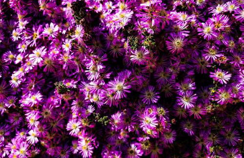 Lunamora 4 - Foto 49