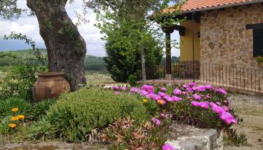 Pago de Yuste - Casa Rural Apartamentos - Foto 3, Garden