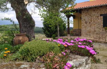 Pago de Yuste - Casa Rural Apartamentos - Foto 3