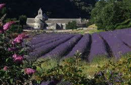 Gite des Ocres - Foto 25