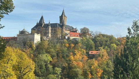 Studio Blick zum Schloss Wernigerode - Photo 2